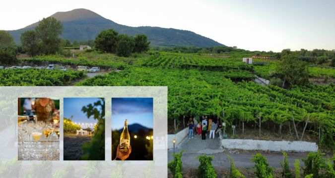 Partecipanti a The Floor is Lava 2026 tra i vigneti della Tenuta Sorrentino durante degustazione vini e percorso esperienziale sul Vesuvio.