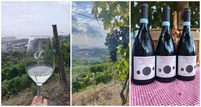 Vendemmia 2026 a Vigna Cigliano delle Cantine Federiciane